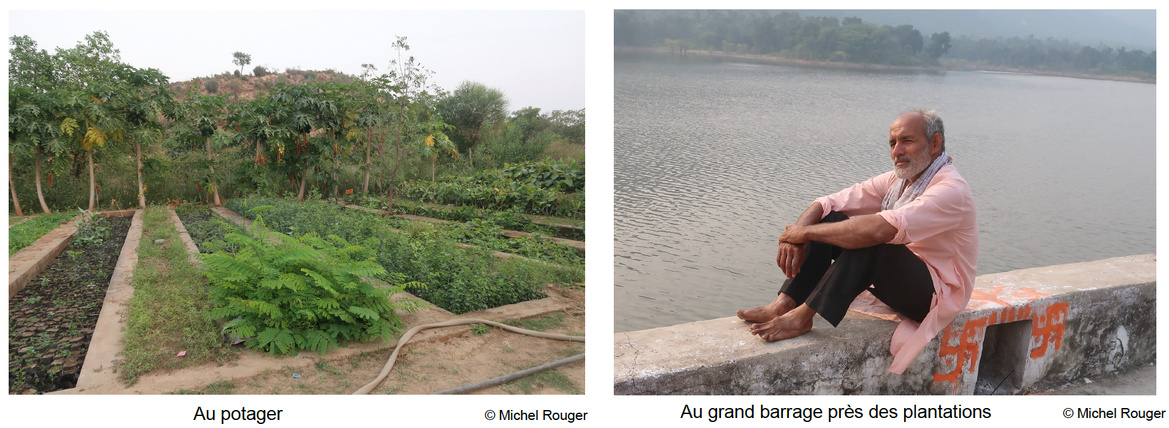 Pradeep, l'ancien ingénieur qui plante des arbres au Rajasthan