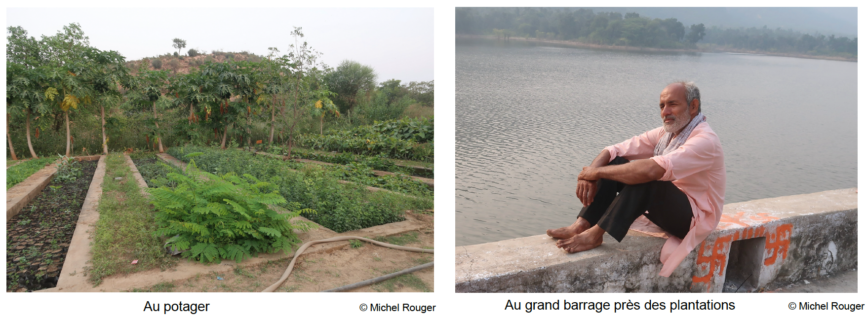 Pradeep, l'ancien ingénieur qui plante des arbres au Rajasthan