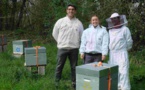 A Auray, l'abeille noire bientôt reine d'une miellerie partagée