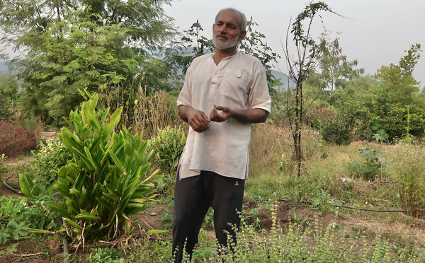 Pradeep, l'ancien ingénieur qui plante des arbres au Rajasthan