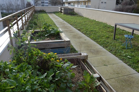 Le toit terrasse, sur le garage, est transformé en jardin. C'est l'un des espaces verts entretenus par les résidents.